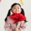 뷰티풀데코센스 점보 카네이션 대왕 카네이션 완제품 대형 종이꽃 왕카네이션 어버이날 스승의날 선물
